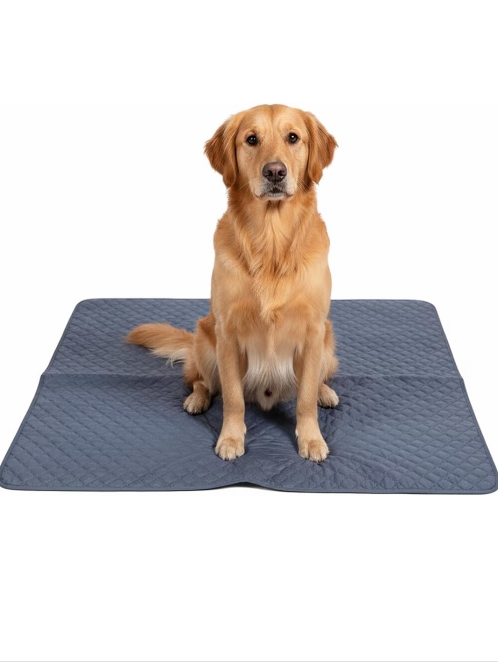 Outdoor Dog Blanket